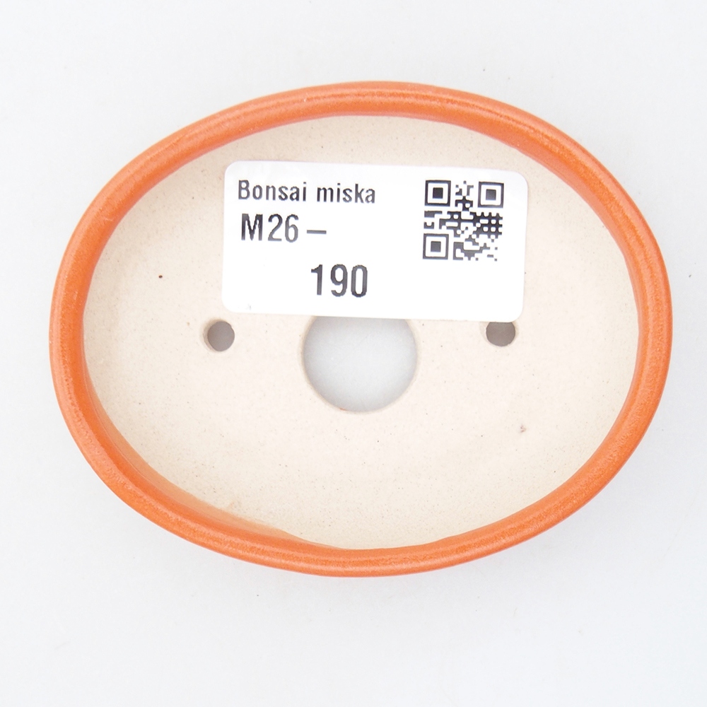 Ciotola per mini bonsai 7,5 x 6 x 2 cm, arancione