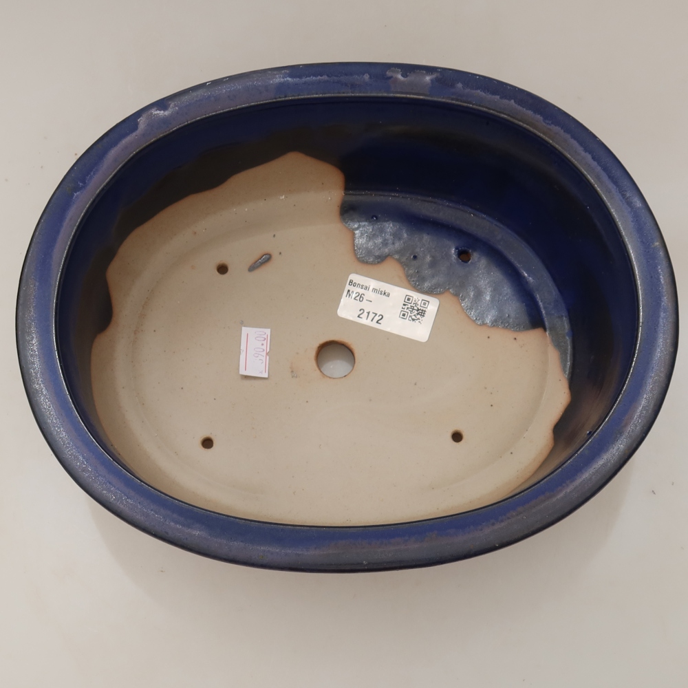 Vaso da bonsai in ceramica 23 x 19 x 8 cm, colore blu