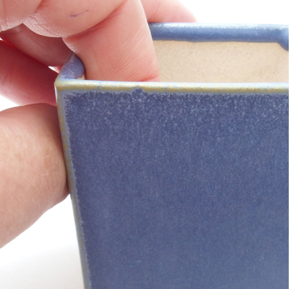 Mini bonsai 5,5 x 5,5 x 6,5 cm, colore blu