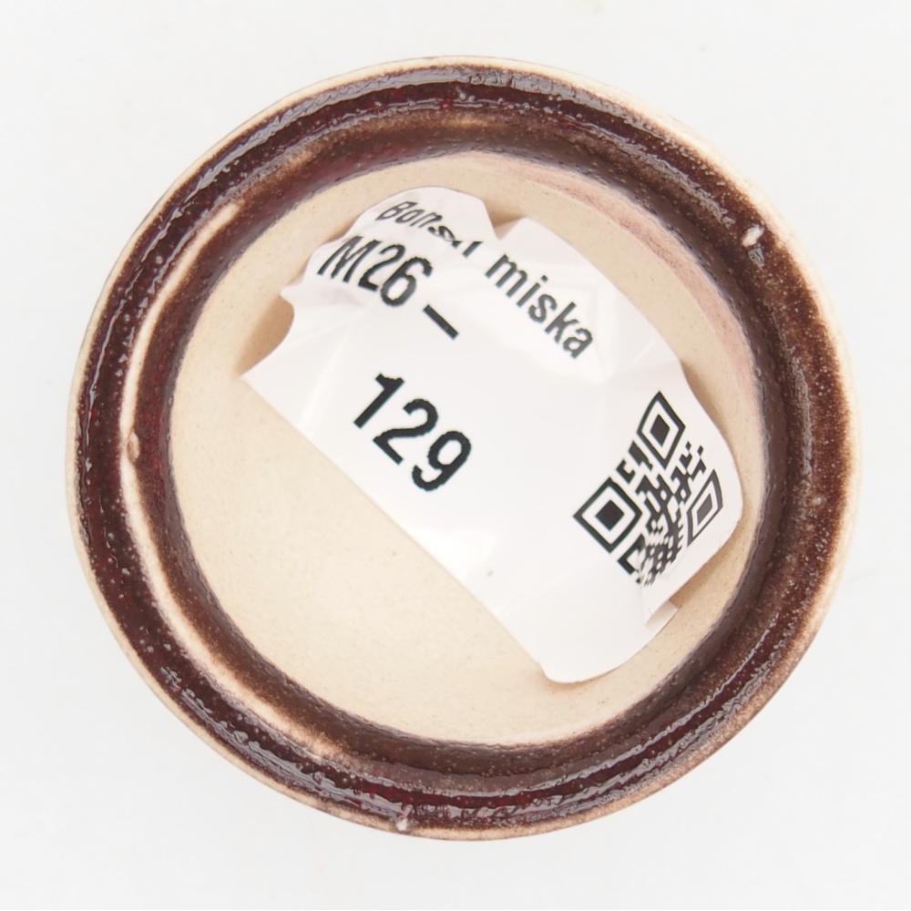 Mini bonsai 4 x 4 x 2,5 cm, colore rosso