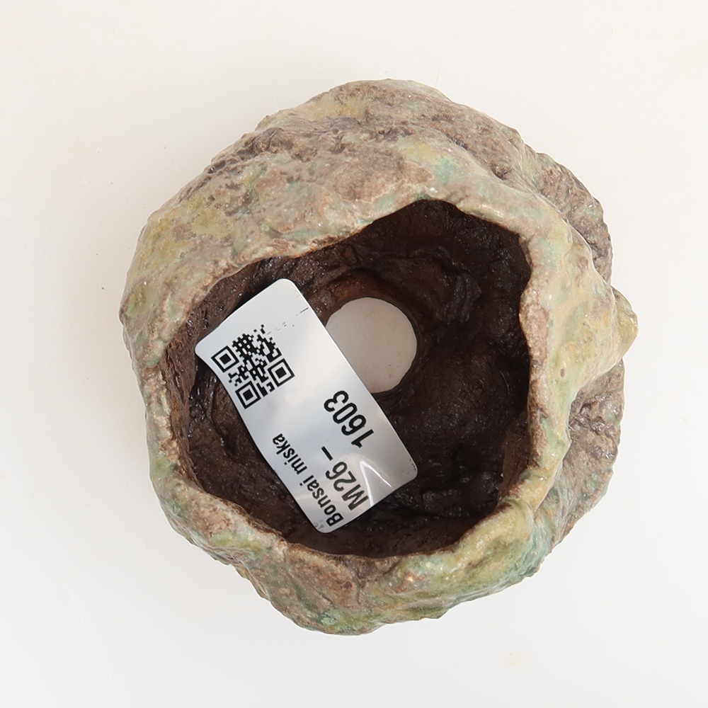 Guscio in ceramica  5,5 x 4,5 x 6 cm , colore verde