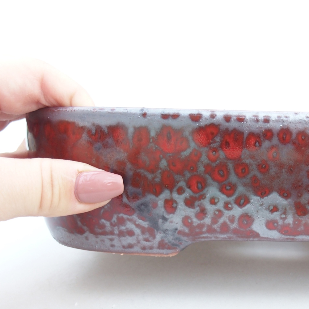 Ciotola per bonsai in ceramica 23 x 18 x 5,5 cm, colore rosso