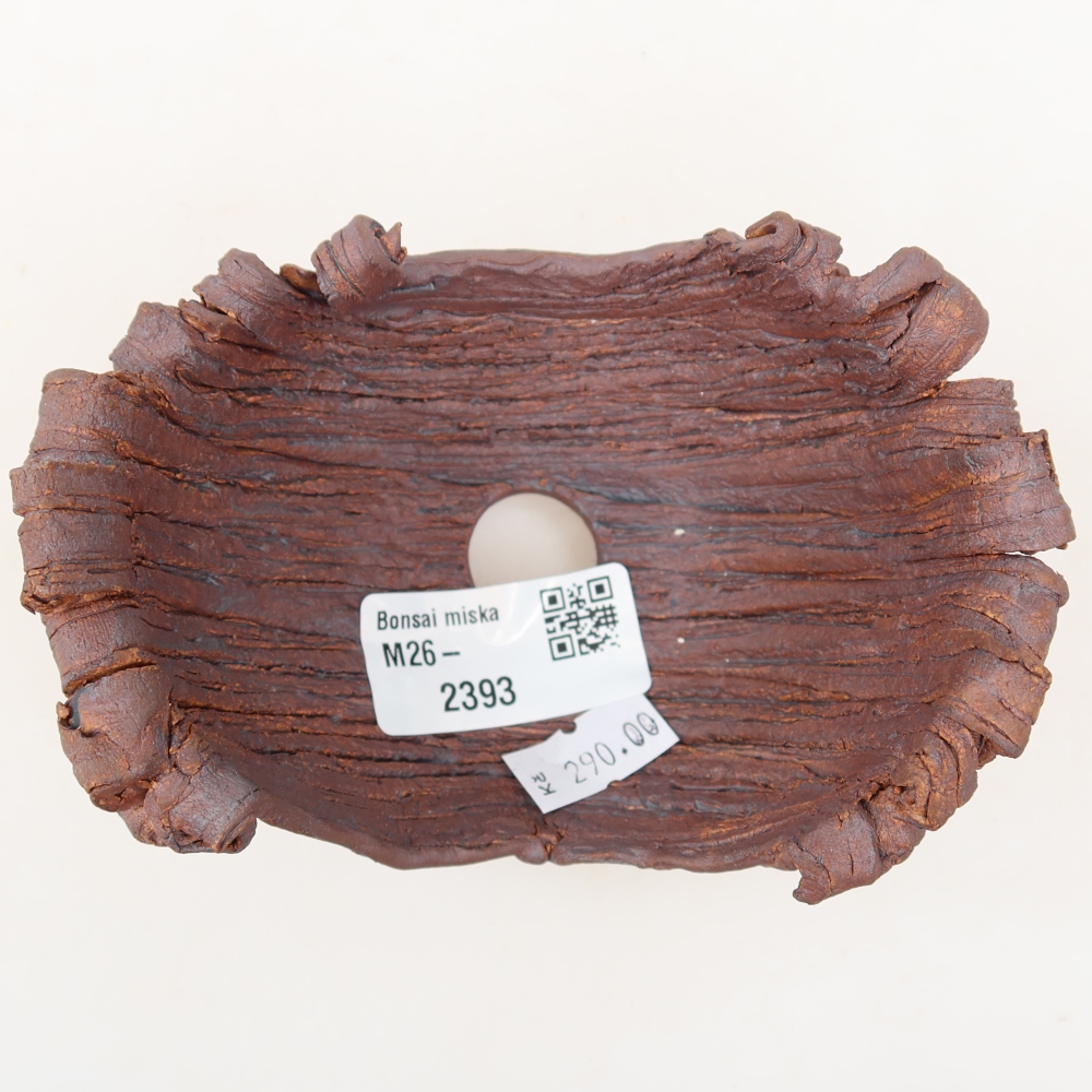 Guscio in ceramica  12 x 8 x 7 cm, colore marrone