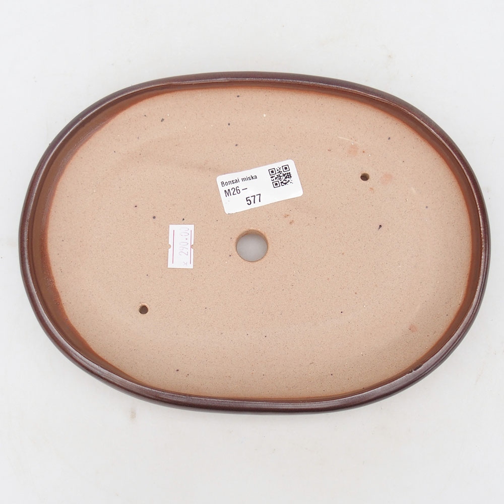 Ciotola per bonsai in ceramica 22 x 17 x 3 cm, marrone
