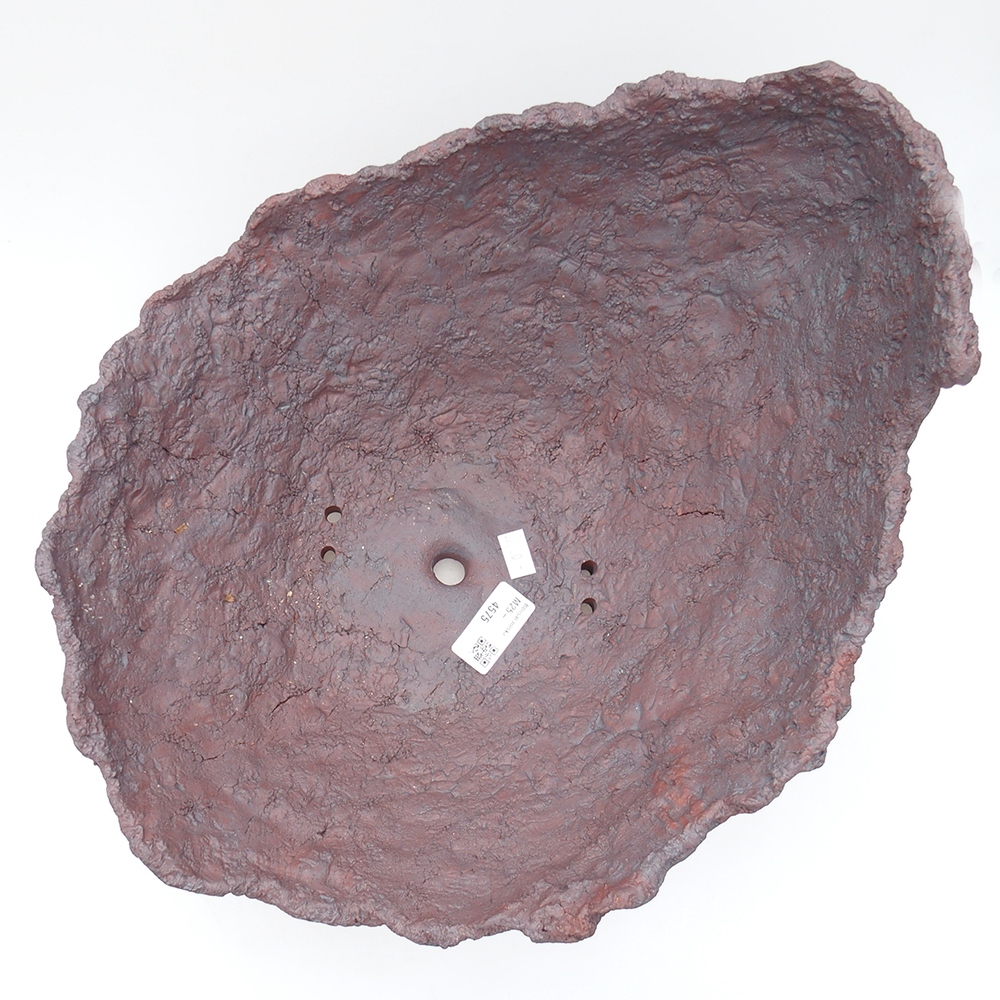 Conchiglia in ceramica 31 x 30 x 23 cm , colore marrone