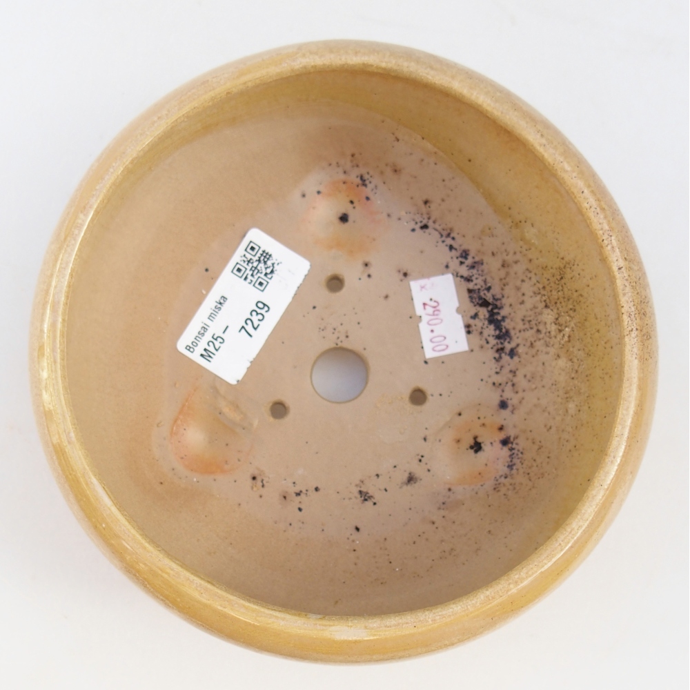 Ciotola bonsai in ceramica 26 x 26 x 8 cm, colore rosso