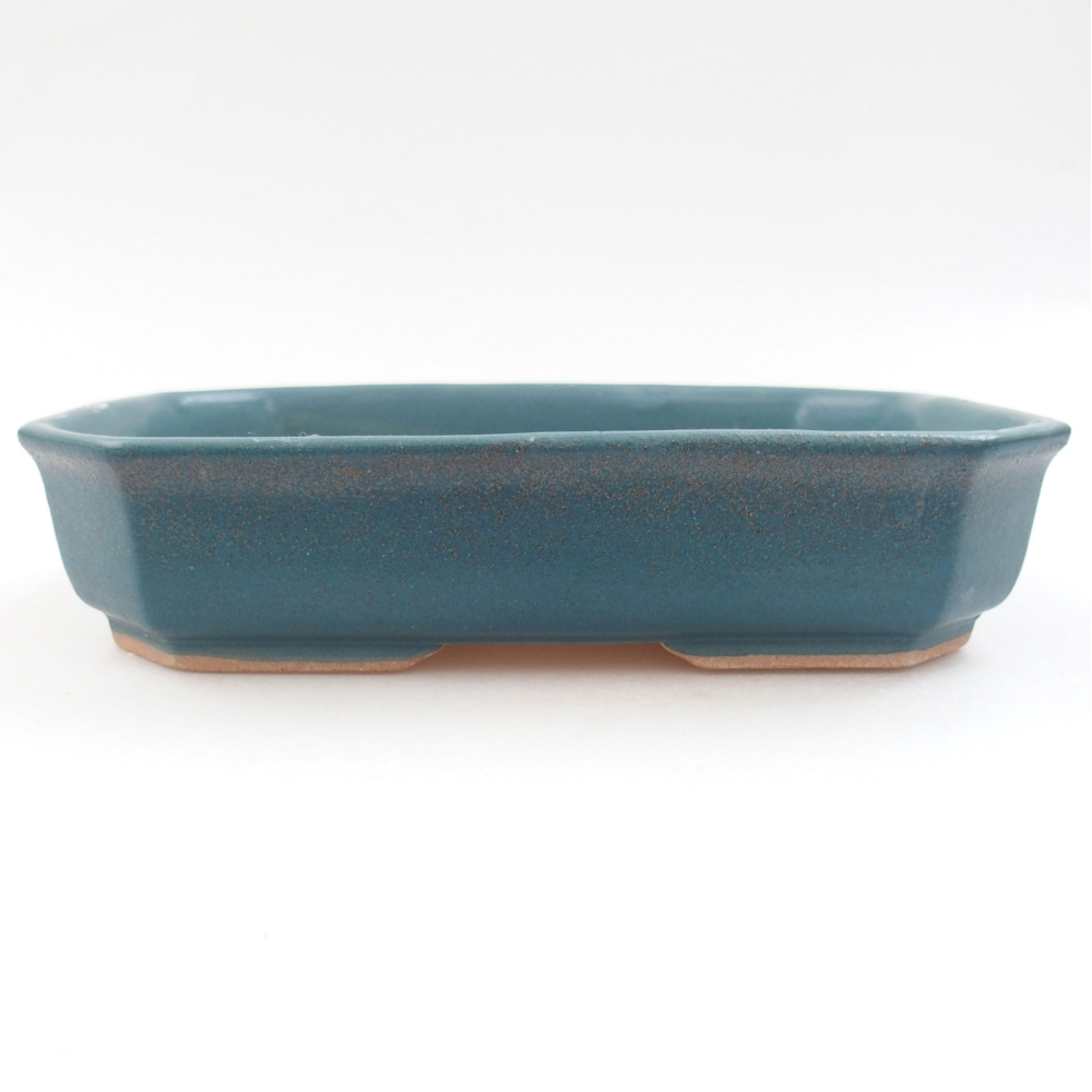 Ciotola bonsai in ceramica 22 x 17 x 5 cm, verde