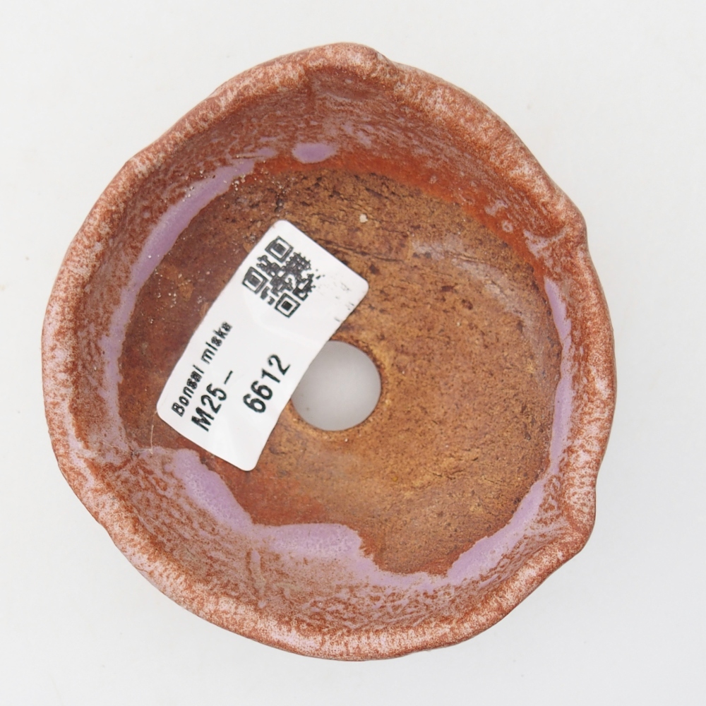 Conchiglia in ceramica 9 x 8,5 x 6,5 cm , colore viola