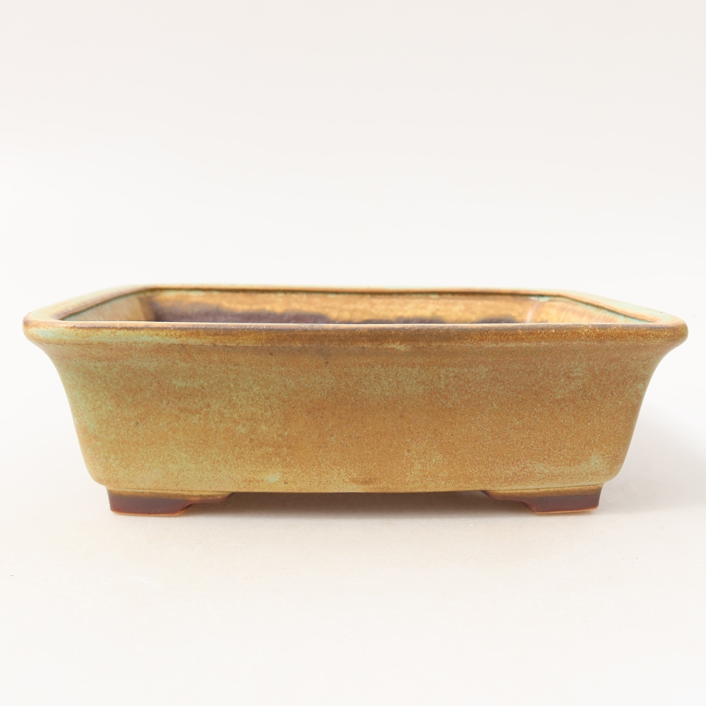 Ciotola bonsai in ceramica 17,5 x 14,5 x 5,5 cm, verde