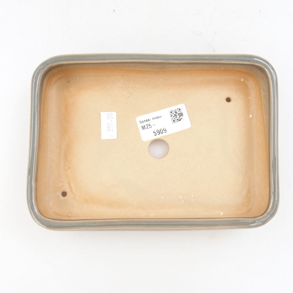 Ciotola bonsai in ceramica 22 x 17 x 5 cm, verde