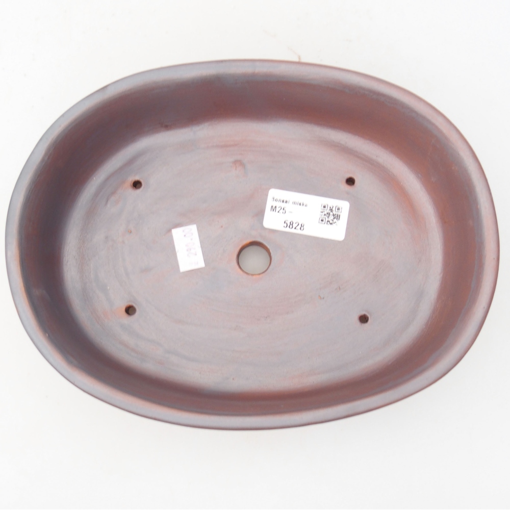 Ciotola bonsai in ceramica 22 x 17 x 5 cm, colore metallo