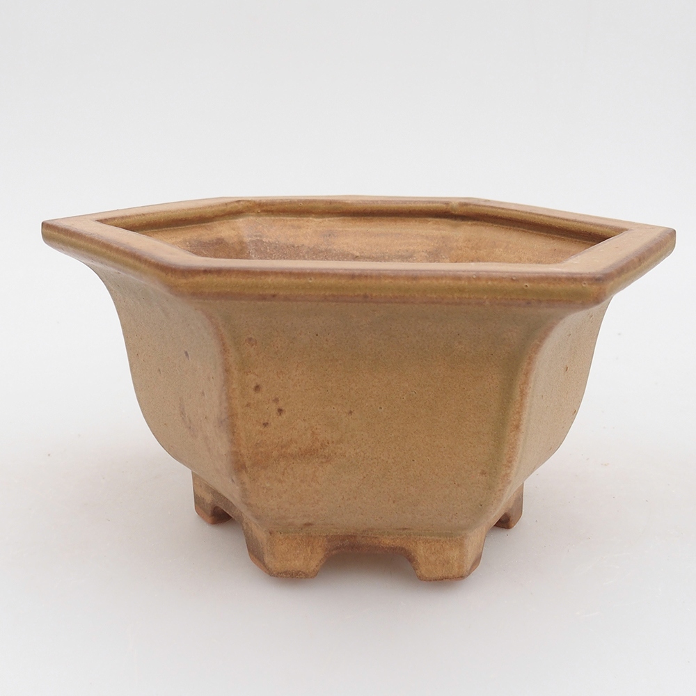 Ciotola per bonsai in ceramica 18 x 16 x 9 cm, colore beige