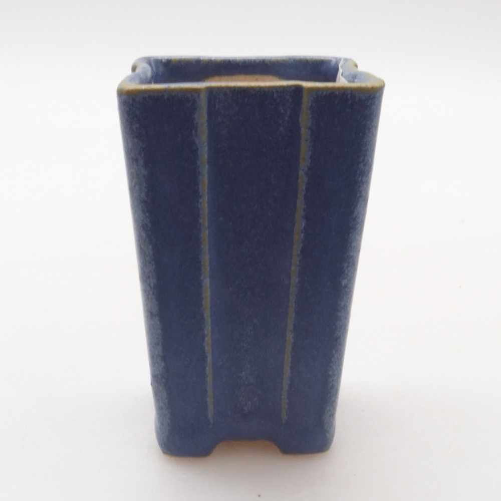 Mini bonsai 3 x 3 x 5,5 cm, colore blu