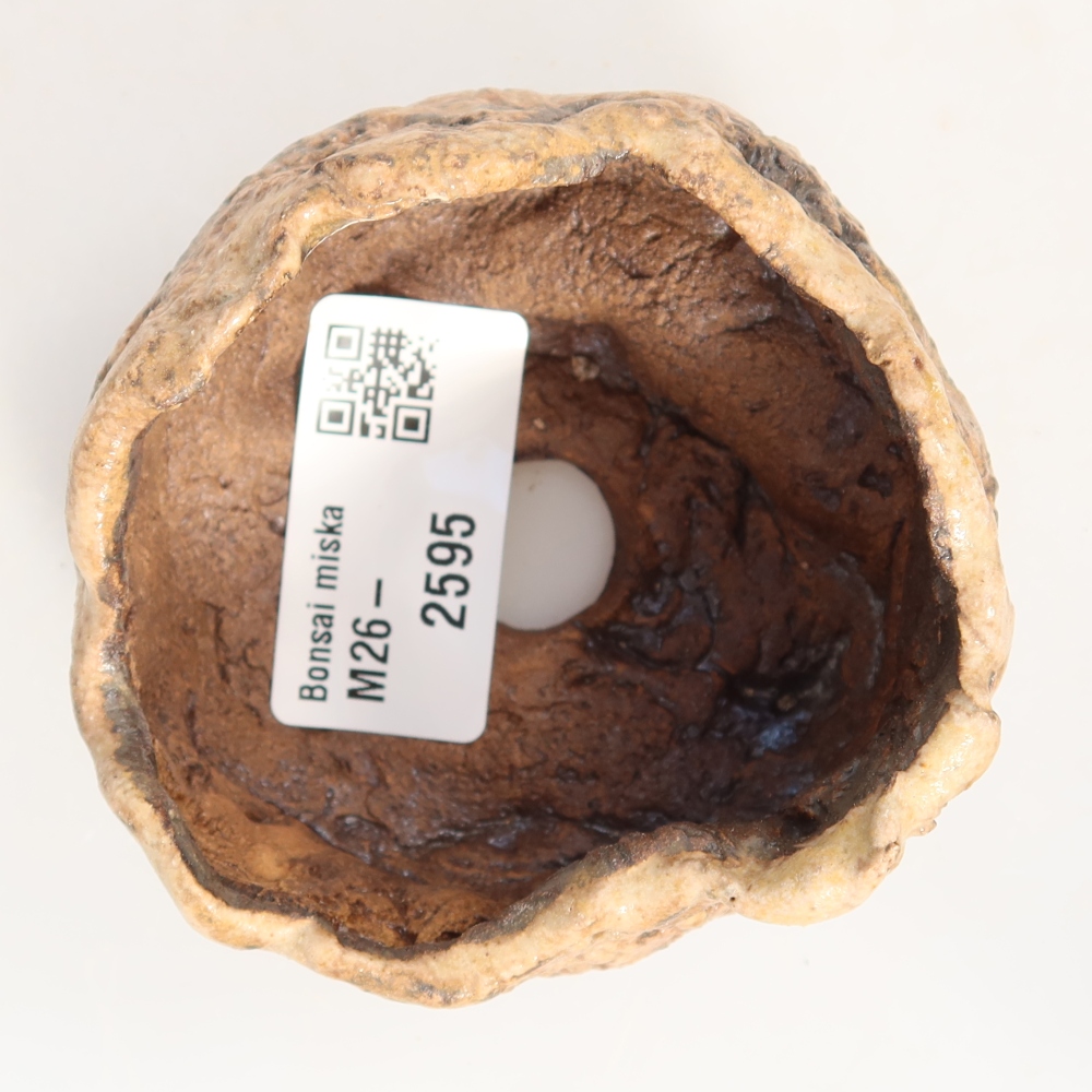 Guscio in ceramica  7,5 x 6,5 x 5 cm, colore marrone