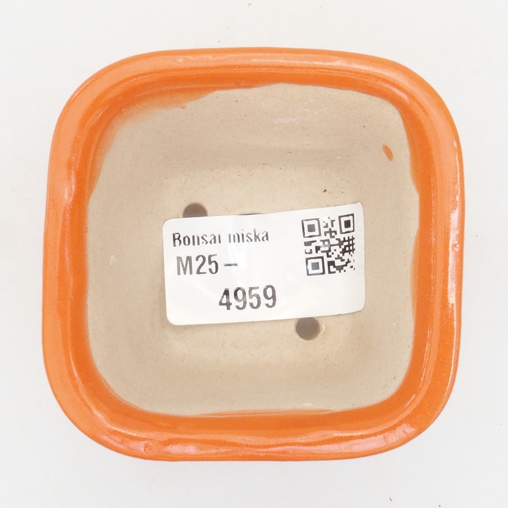 Ciotola per mini bonsai 6 x 6 x 4,5 cm, arancione