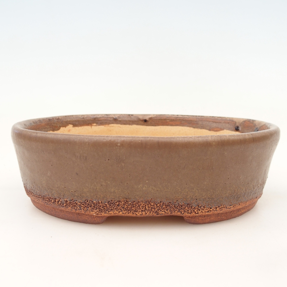 Ciotola per bonsai 19,5 x 16 x 6 cm , colore marrone