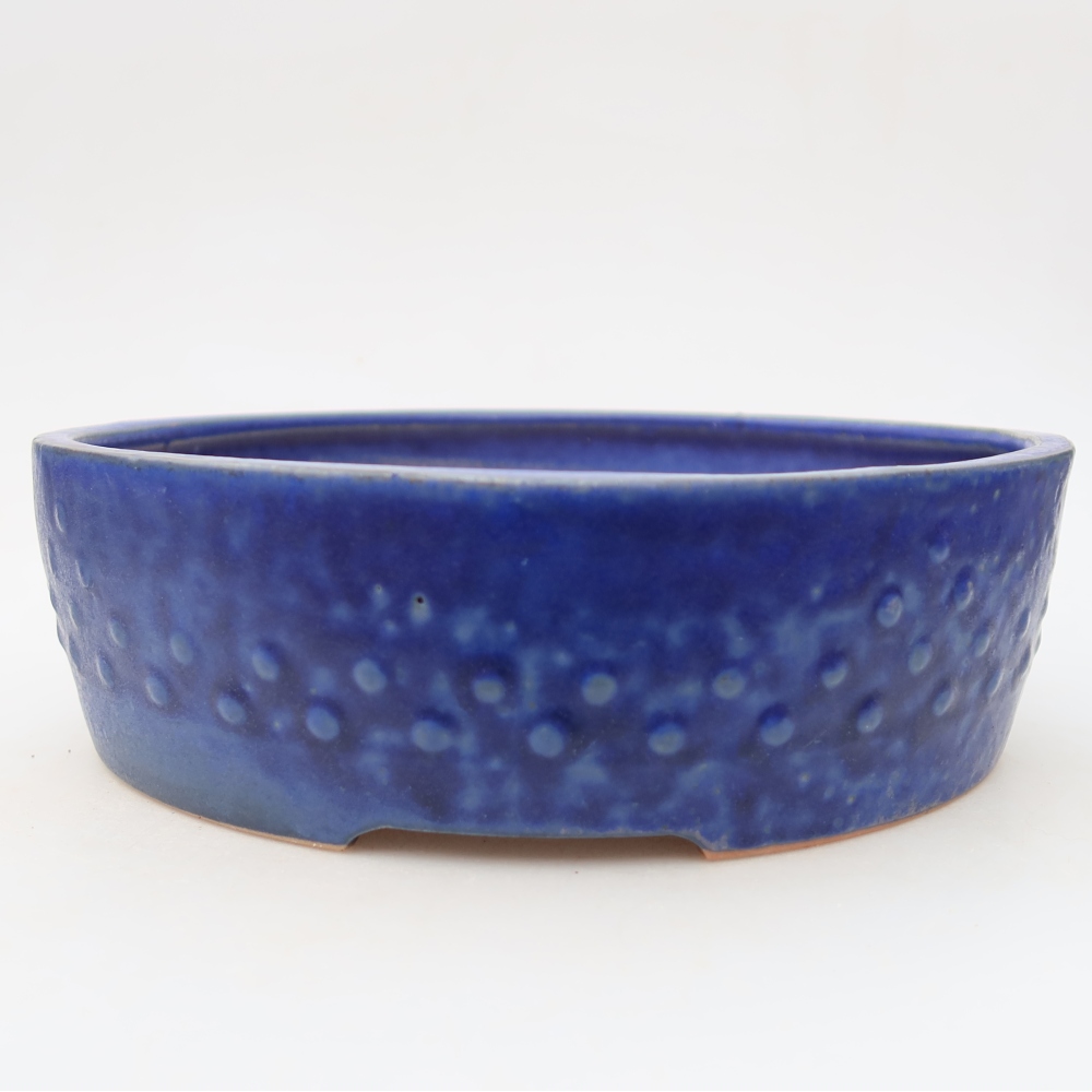 Ciotola bonsai in ceramica 24 x 24 x 7 cm, colore blu