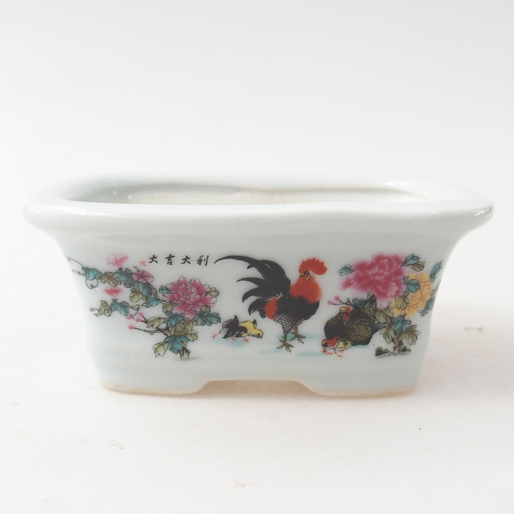 Mini bonsai 10 x 7,5 x 4 cm, colore bianco