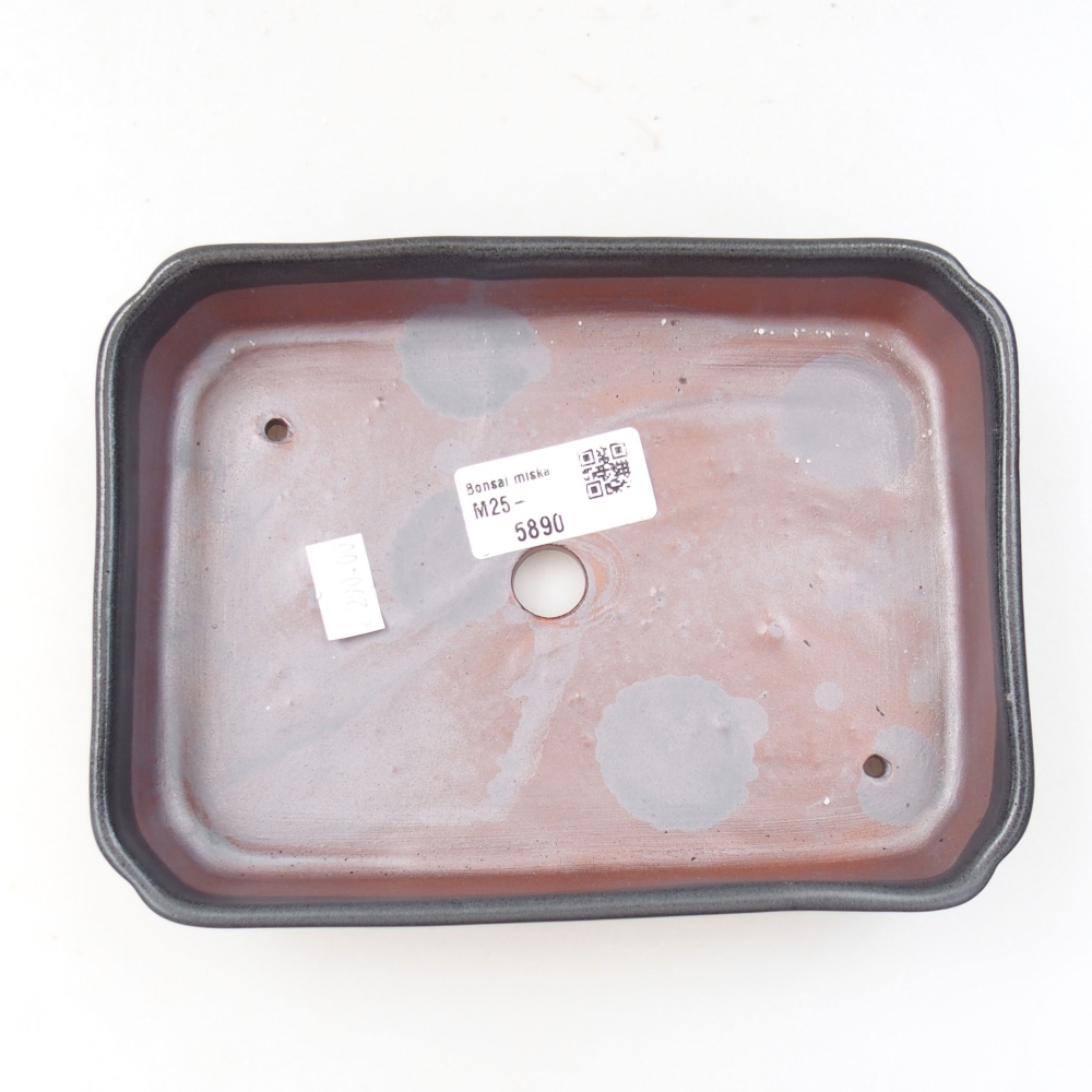 Ciotola bonsai in ceramica 22 x 17 x 5 cm, verde