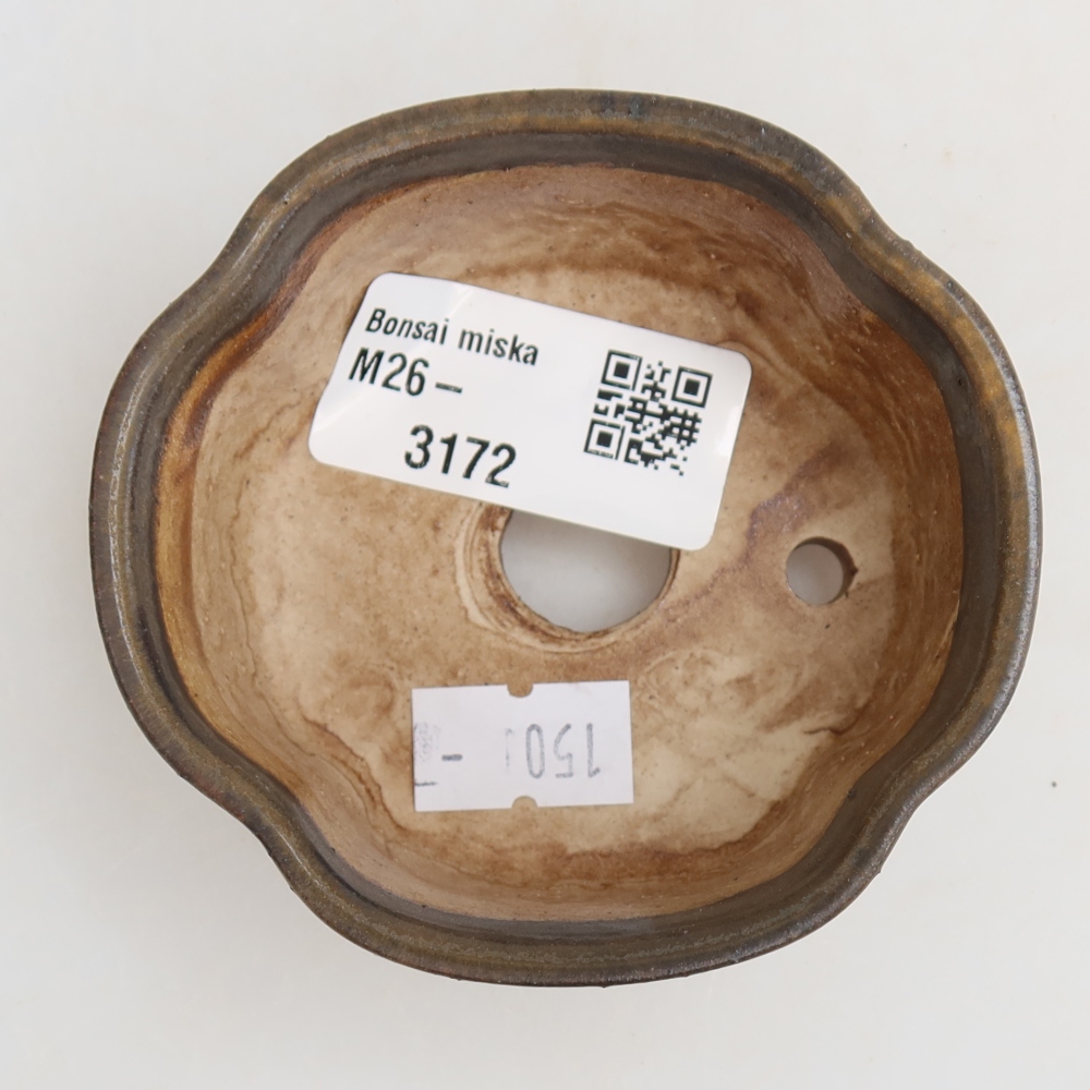 Ciotola per bonsai in ceramica 8 x 7,5 x 3,5 cm, marrone
