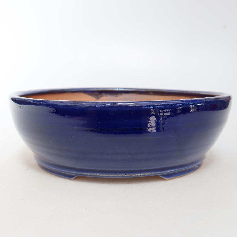 Ciotola bonsai in ceramica 19 x 19 x 6 cm, colore blu
