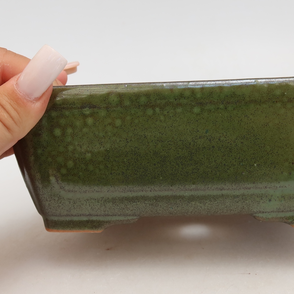 Ciotola per bonsai in ceramica 16 x 12 x 6 cm, verde