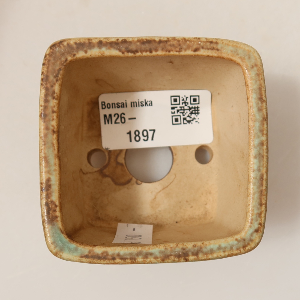 Ciotola per bonsai in ceramica 6,5 x 6,5 x 4,5 cm, verde