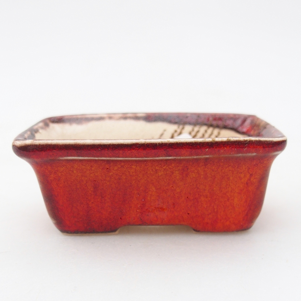 Mini bonsai 6,5 x 4,5 x 2,5 cm, arancio