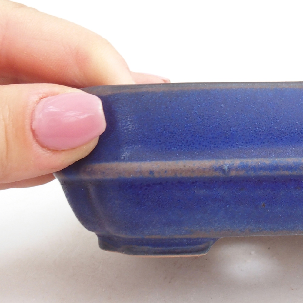 Ciotola bonsai in ceramica 12 x 10 x 4 cm, colore blu