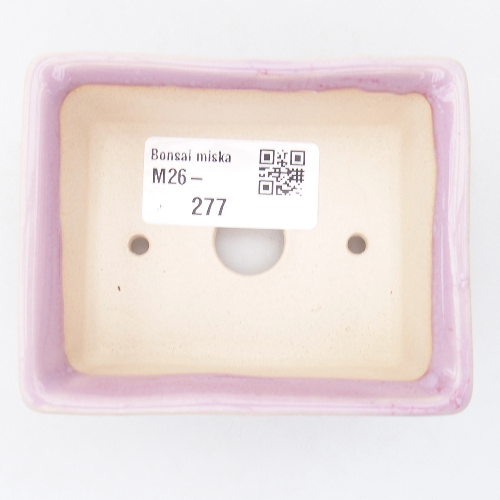 Mini bonsai 9 x 7 x 3,5 cm, rosa