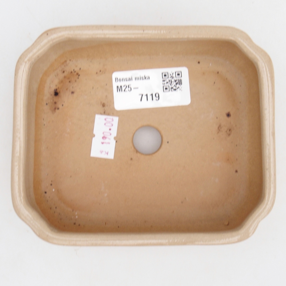 Ciotola bonsai in ceramica 26 x 26 x 8 cm, colore rosso