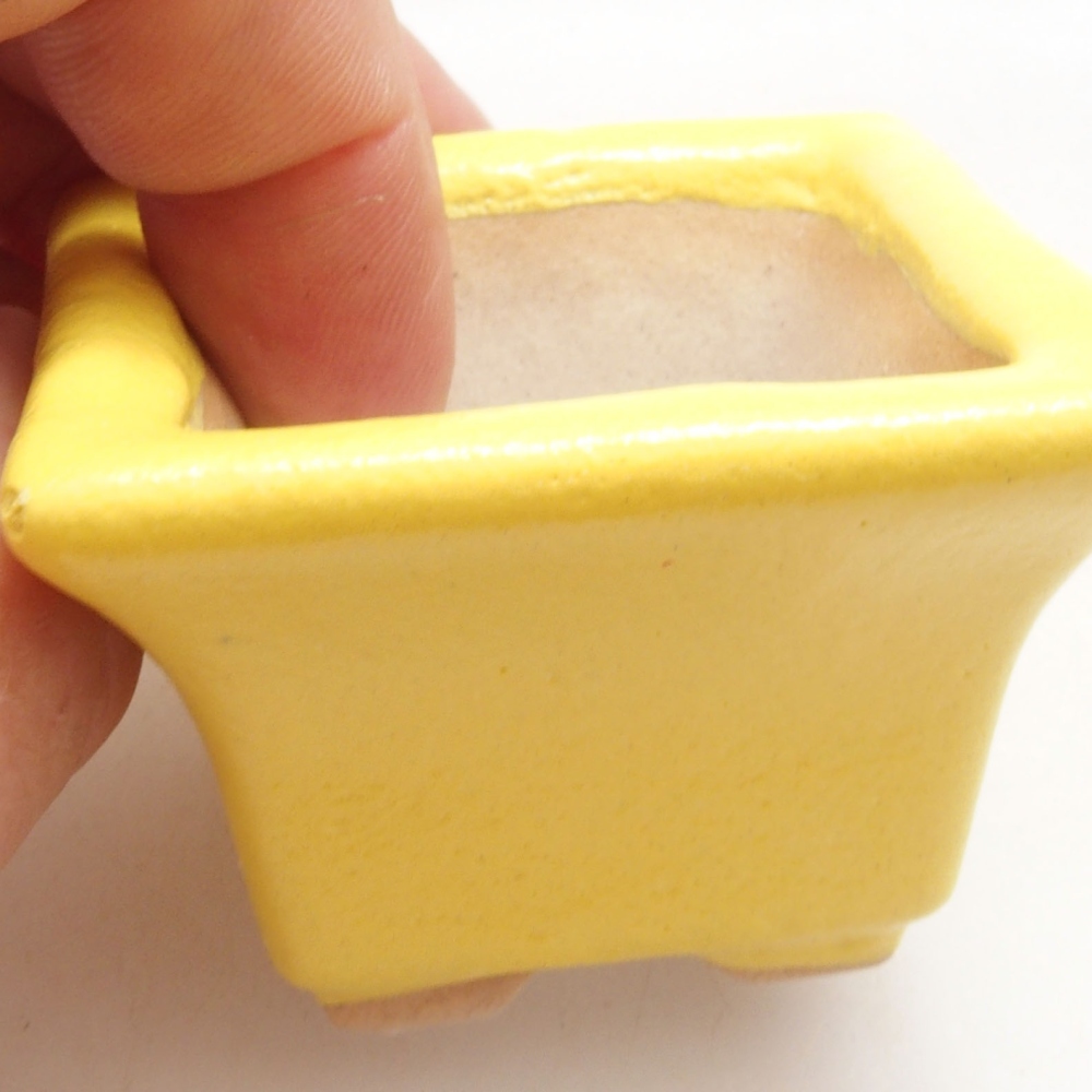 Ciotola bonsai in ceramica 5 x 5 x 3,5 cm, giallo