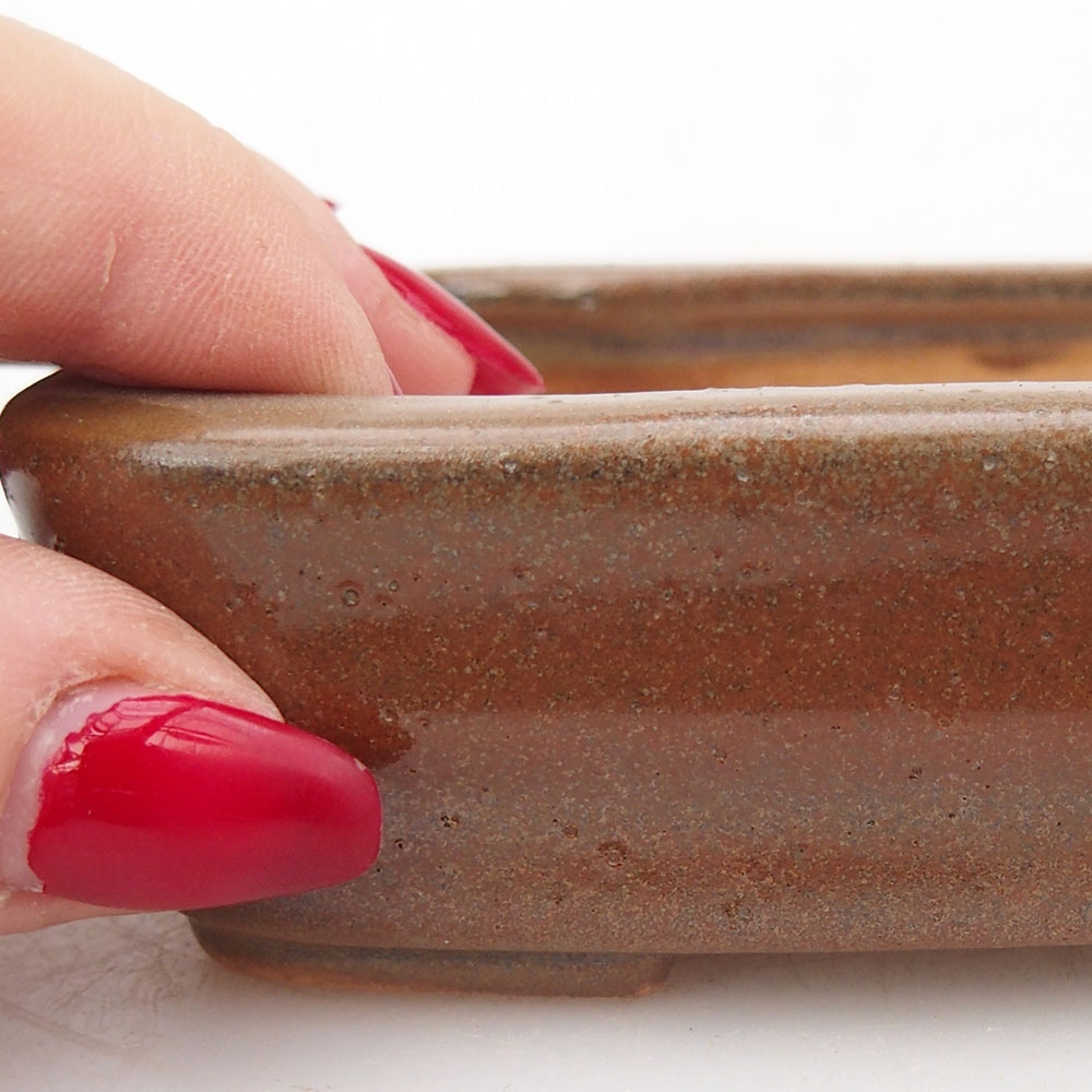 Ciotola per bonsai in ceramica 125 x 10 x 3 cm, marrone