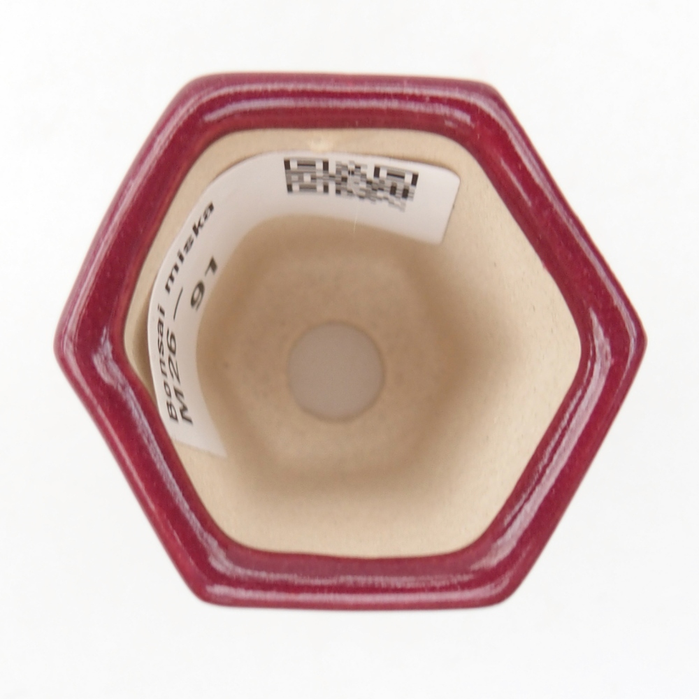 Ciotola per mini bonsai 4 x 3,5 x 5,5 cm, bordeaux