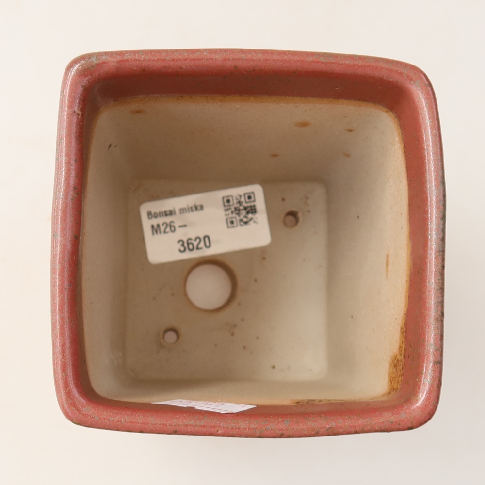 Vaso da bonsai in ceramica 9 x 9 x 11,5 cm, colore rosa