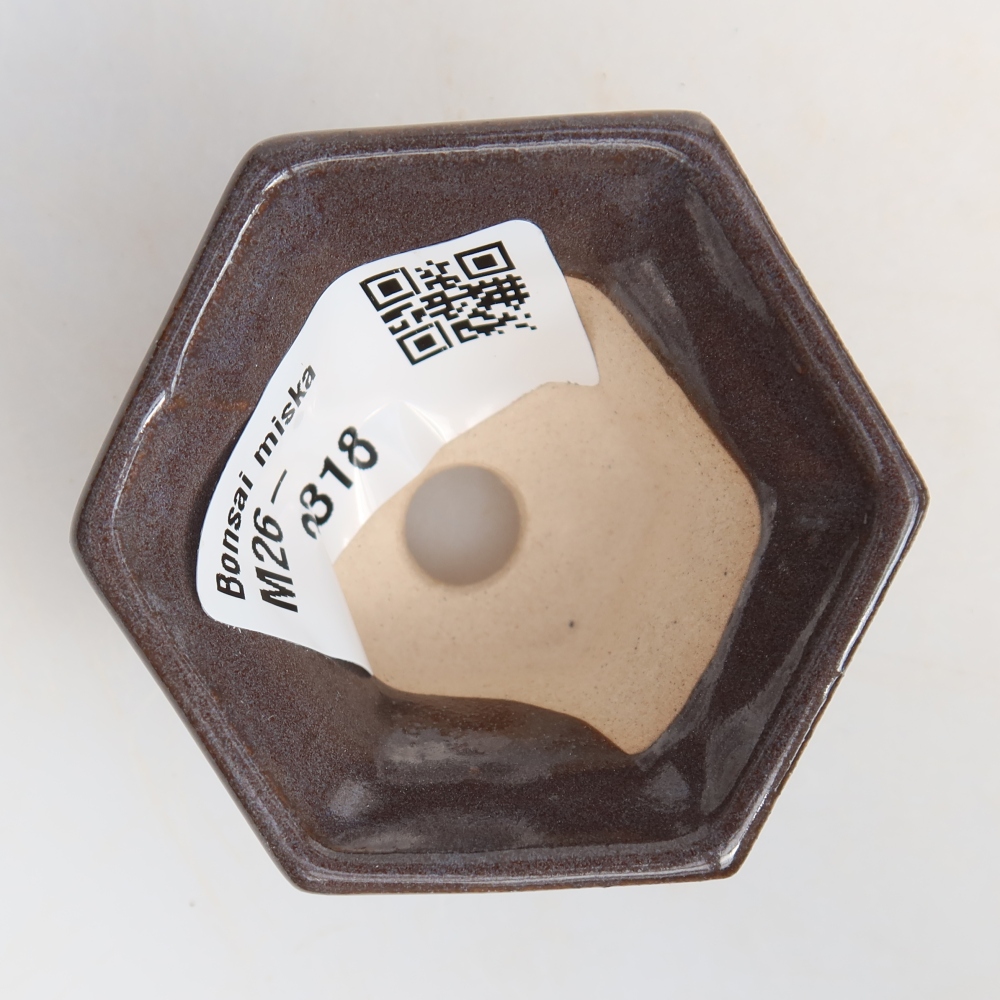 Vaso in ceramica per bonsai, 5,5 x 5 x 3 cm, colore grigio