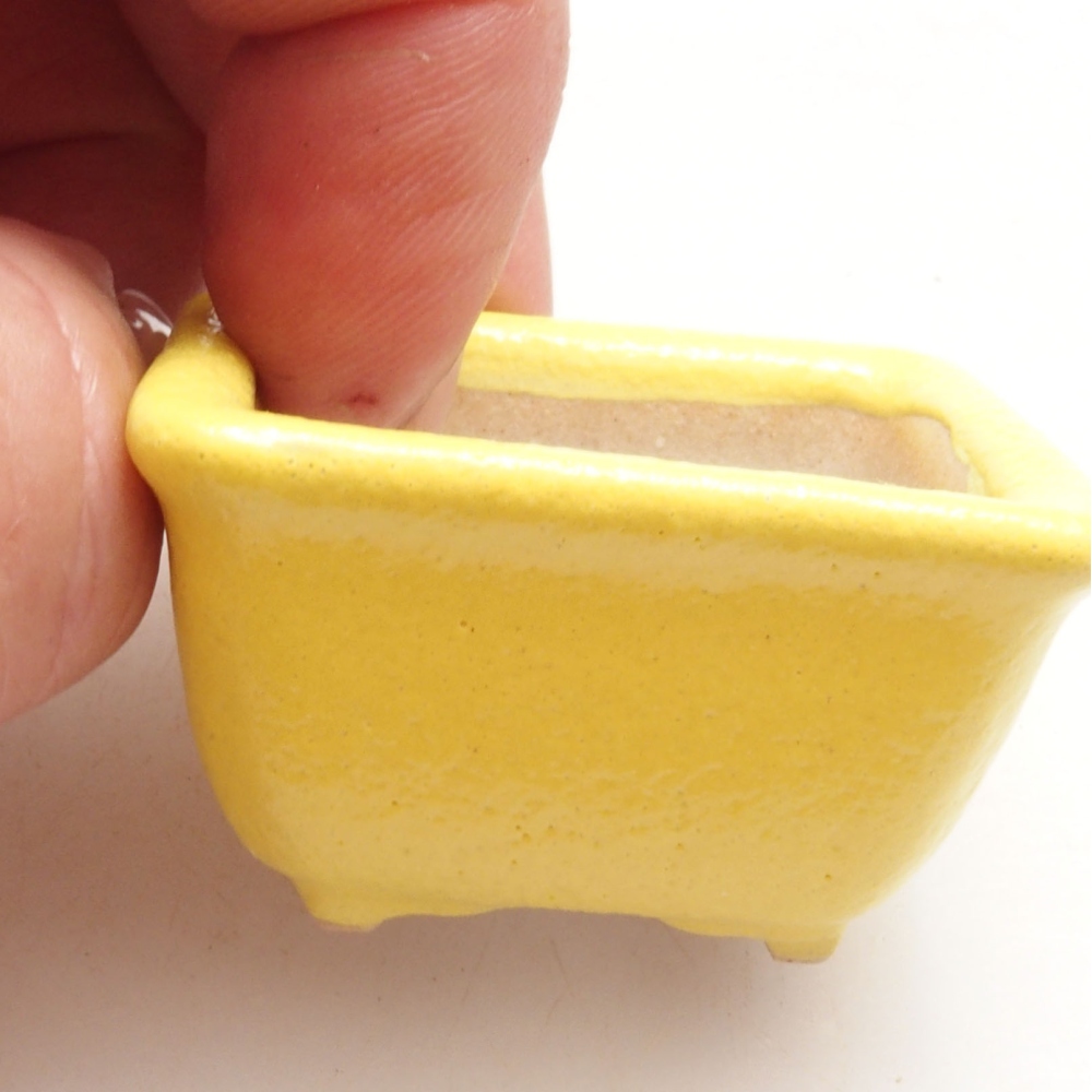 Ciotola per bonsai in ceramica 4 x 3 x 2,5 cm, giallo