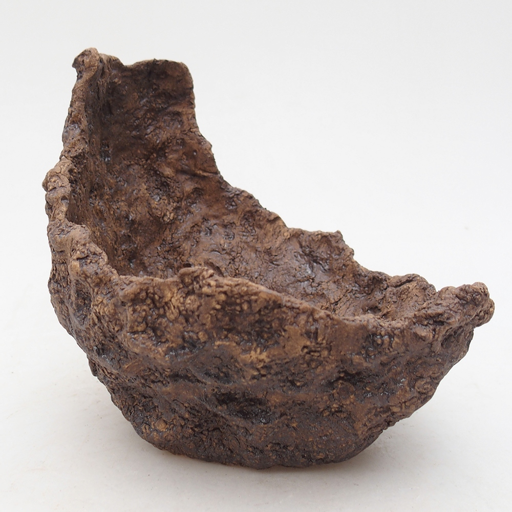 Conchiglia in ceramica 14 x 14 x 13 cm , colore marrone