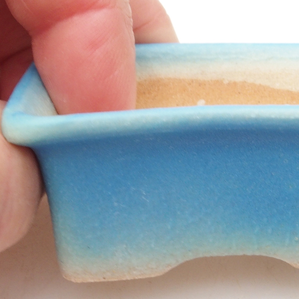 Mini bonsai 5,5 x 4 x 2,5 cm, colore blu