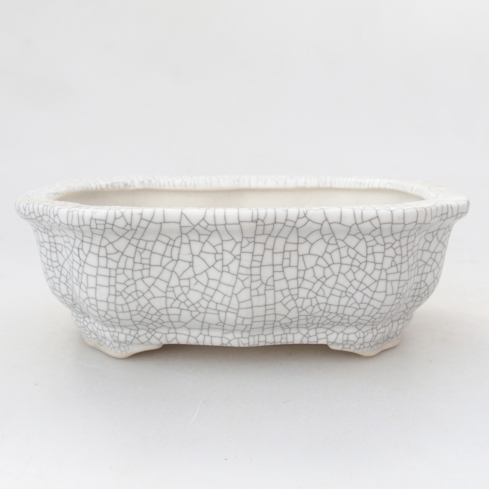 Ciotola 26 x 21 x 6,5 cm blu-verde