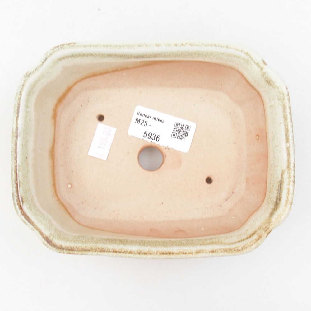 Ciotola bonsai in ceramica 22 x 17 x 5 cm, verde