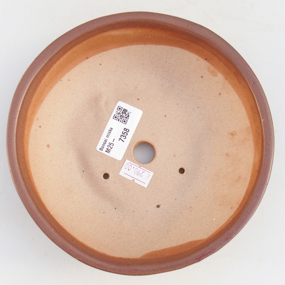 Ciotola bonsai in ceramica 17,5 x 17,5 x 5 cm, colore bordeaux