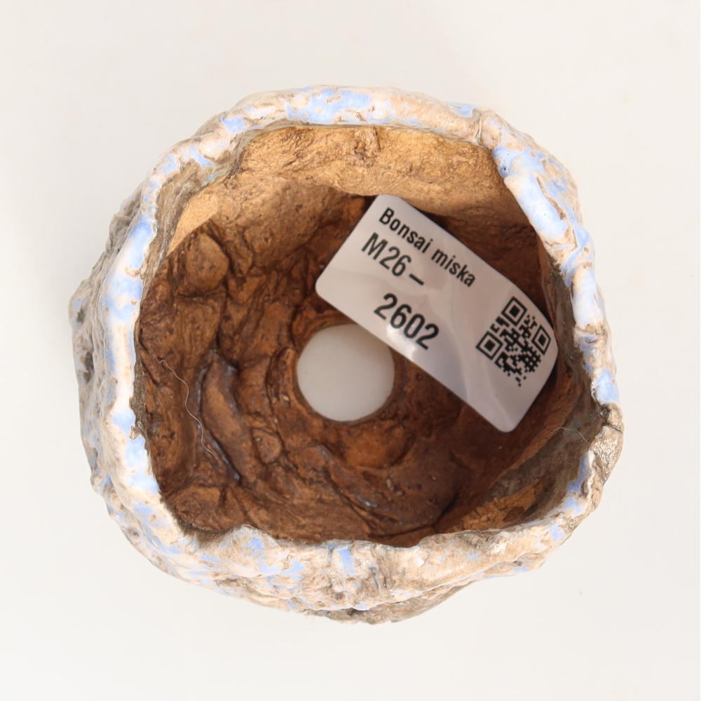 Guscio in ceramica  7 x 7 x 6 cm, colore blu-marrone