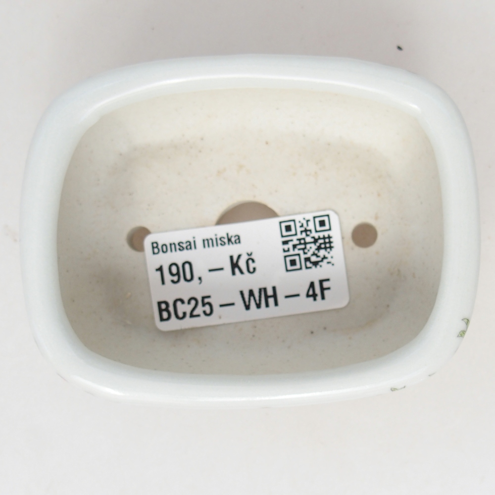 Mini bonsai 8 x 6 x 3 cm, bianco