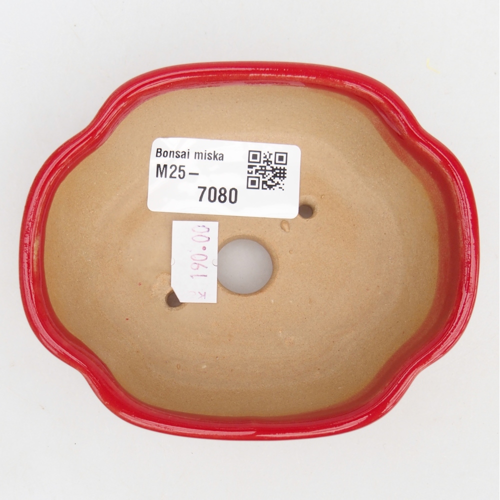 Ciotola bonsai in ceramica 26 x 26 x 8 cm, colore rosso