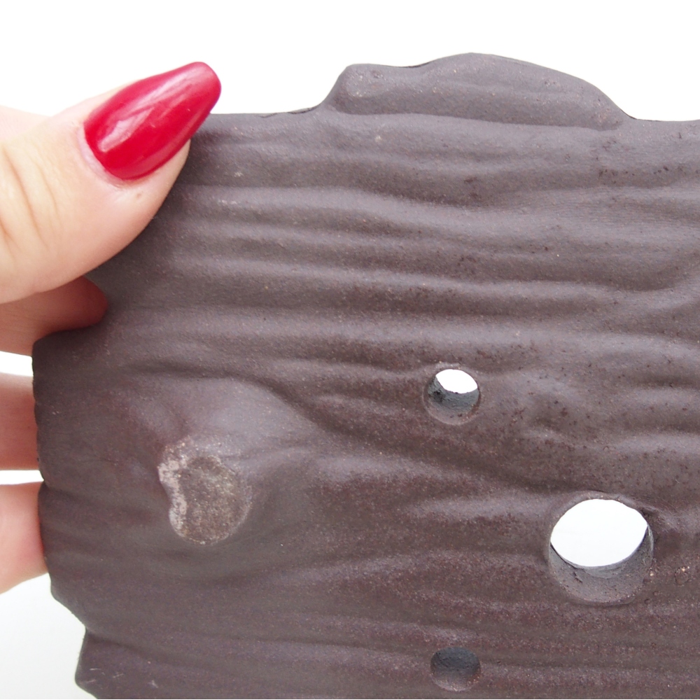 Conchiglia in ceramica 16 x 12 x 3 cm , colore marrone