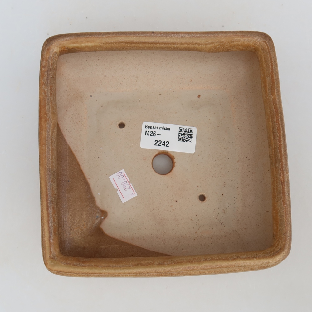 Vaso da bonsai in ceramica 15,5 x 15,5 x 6 cm, colore beige