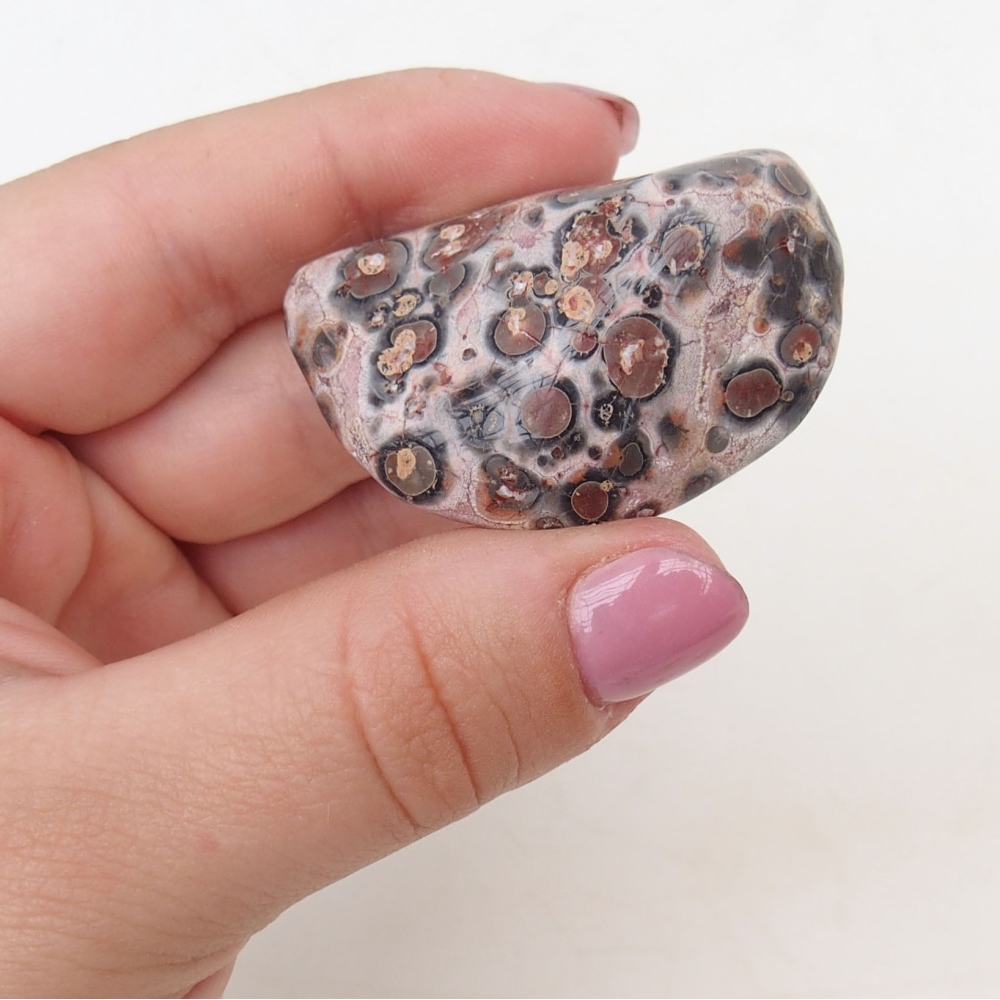 Suiseki - Pietra con DAI (base in legno)