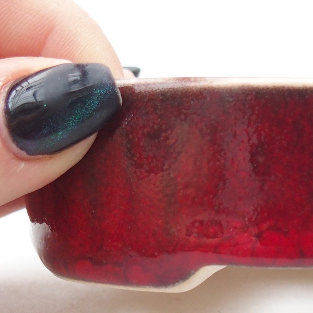 Mini bonsai 9,5 x 8,5 x 3 cm, colore rosso