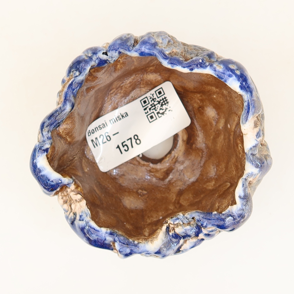 Conchiglia in ceramica  6 x 6 x 4,5 cm, colore blu